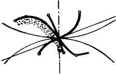 �X݆�����g(sh��)�Zһ�㶨�x