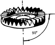 �X݆�����g(sh��)�Z�F�X݆����(zh��n)�p�����X݆�����X݆��