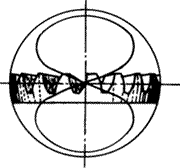 �X݆�����g(sh��)�Z�F�X݆����(zh��n)�p�����X݆�����X݆��