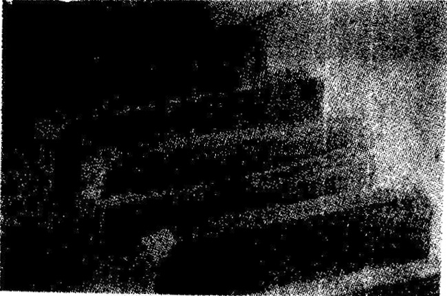 �S�C(j��)����