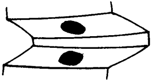 �F�X݆�͜��p�����X݆�g�Z�ӹ�������݆�X���|���z���ԇ�